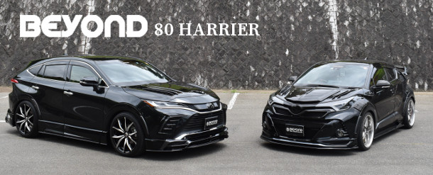 最高品質の-トヨタ C-HR •ビヨンド リアウィング BEYOND ZYX10 axVJr